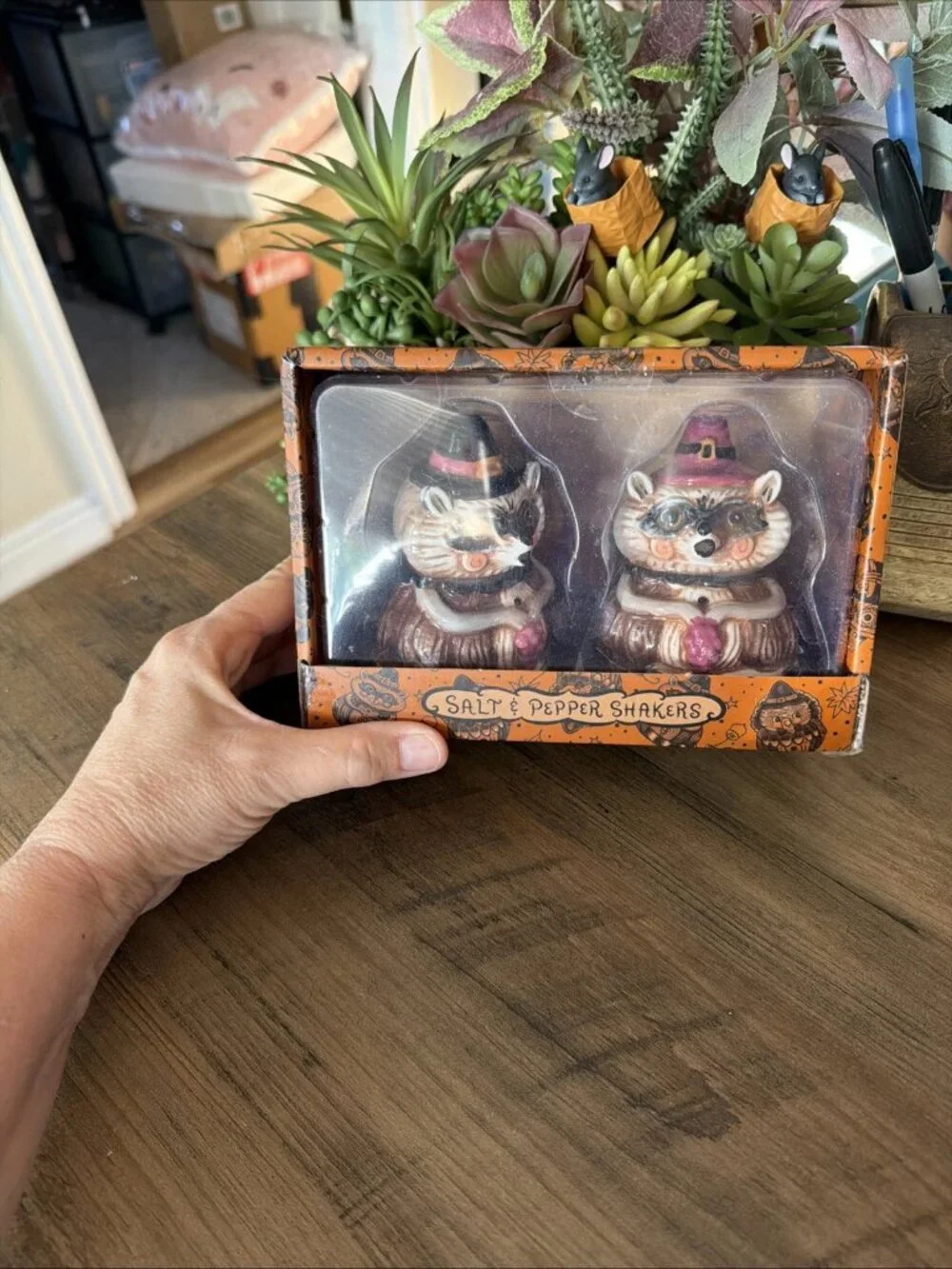 Johanna Parker Fall Raccoon Salt & Pepper Shakers - NEW